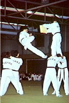Taekwondo Breaking Board - Photo : NSIC Collection ASC